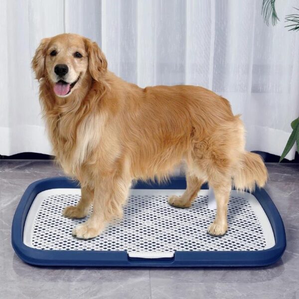 Large toilet for dogs-65*50*8cm