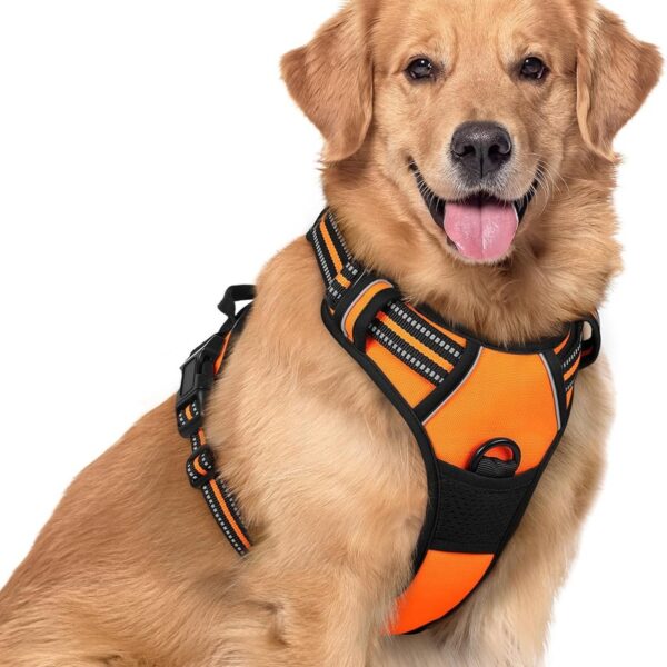 Rabbitgoo-Dog Harness No Pull with 2 Leash Clips, Adjustable Soft Padded, Reflective Oxford No Choke Pet Vest with Easy Control Handle for large Sized Dogs