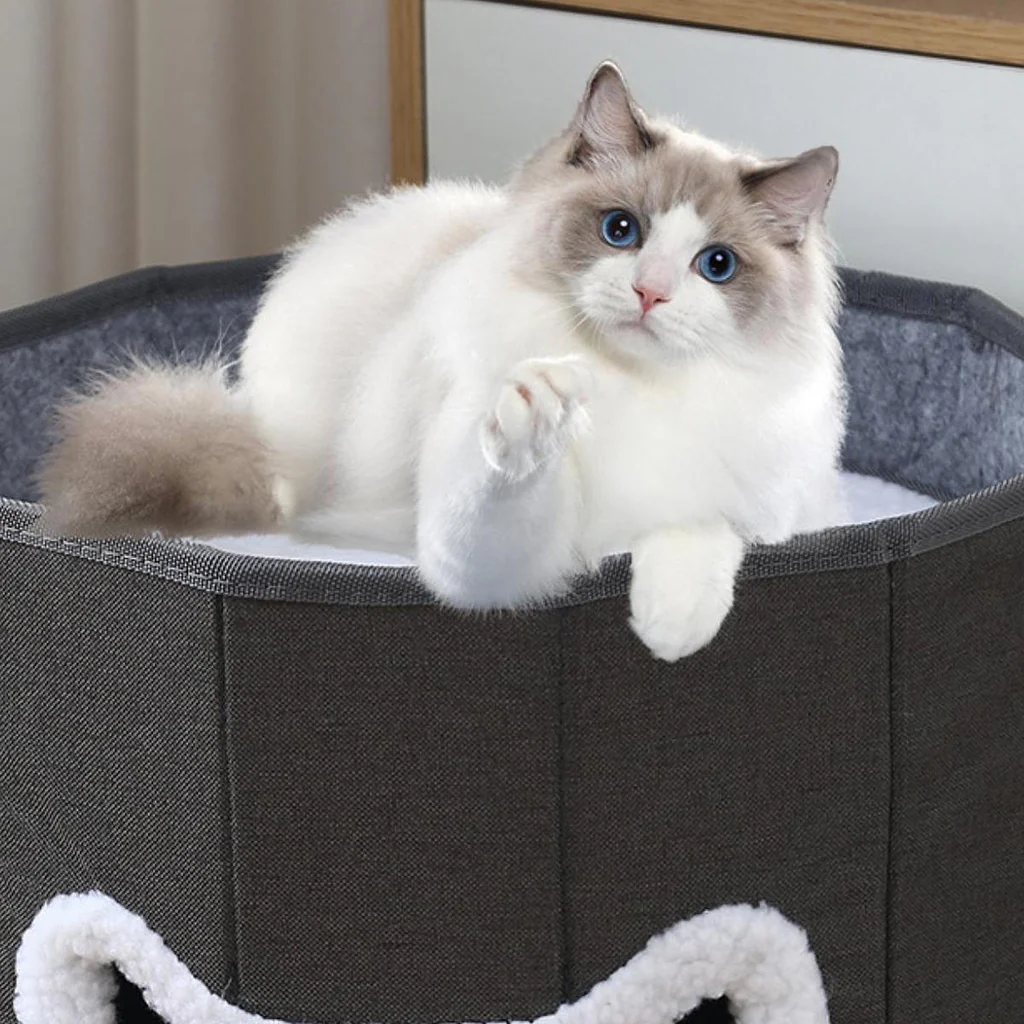 Maxbell Cat Beds for Indoor Cats Hanging Ball Hide and Seek for All Seasons Cat Cave - Image 5