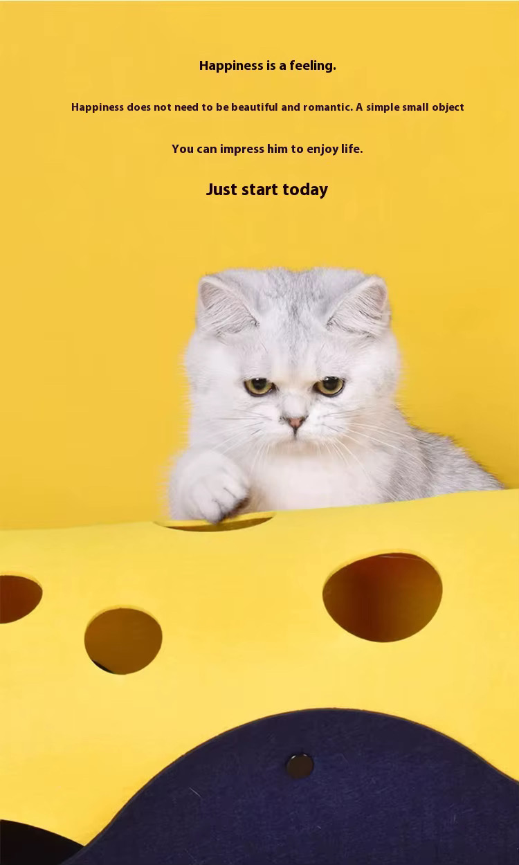 Interactive cat tunnel toy – Foldable felt cat tube bed for pets-92*43*3cm - Image 6
