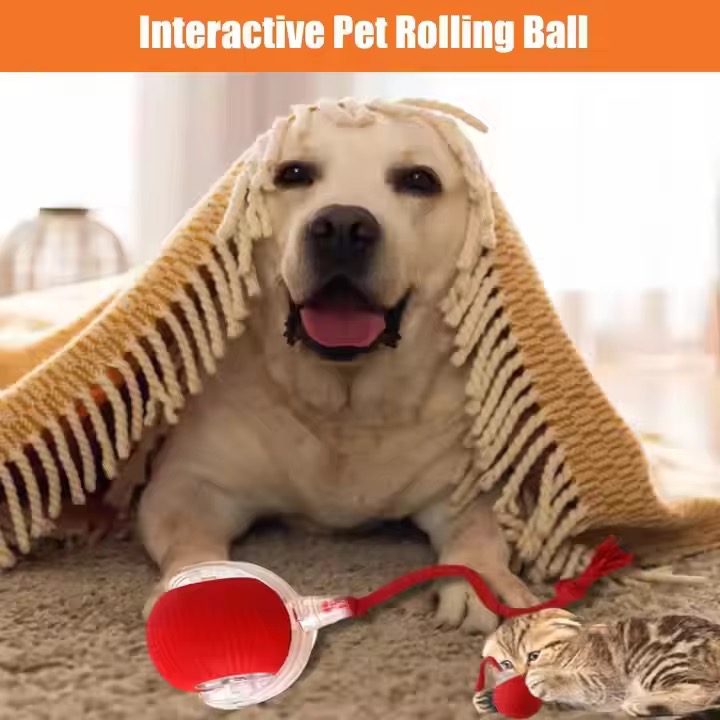 Interactive rolling ball toy with rope for pets – Cat and Dog chase toy - Image 7