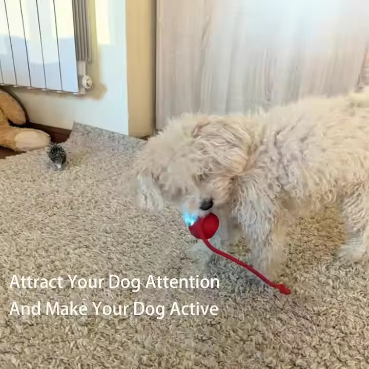 Interactive rolling ball toy with rope for pets – Cat and Dog chase toy - Image 6