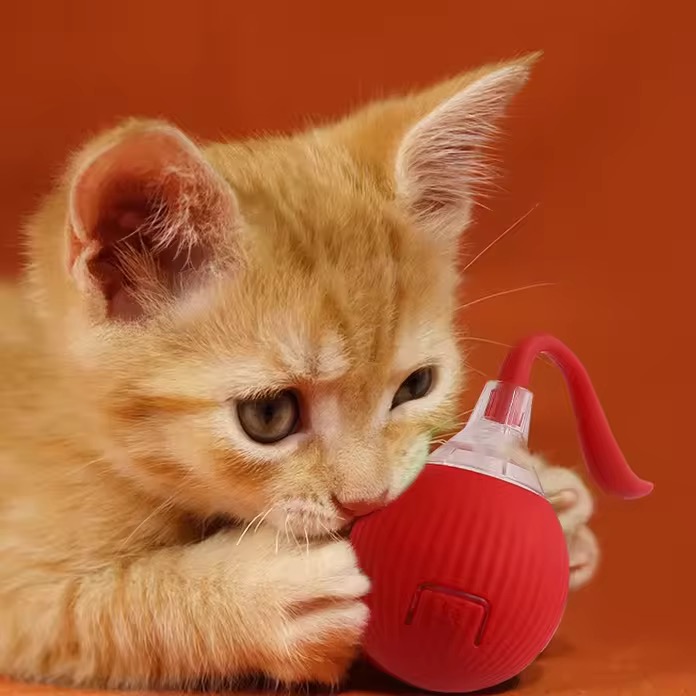Interactive rolling ball toy with rope for pets – Cat and Dog chase toy - Image 2