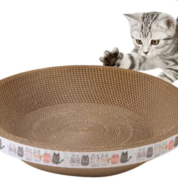 Scratching Cardboard for Cats