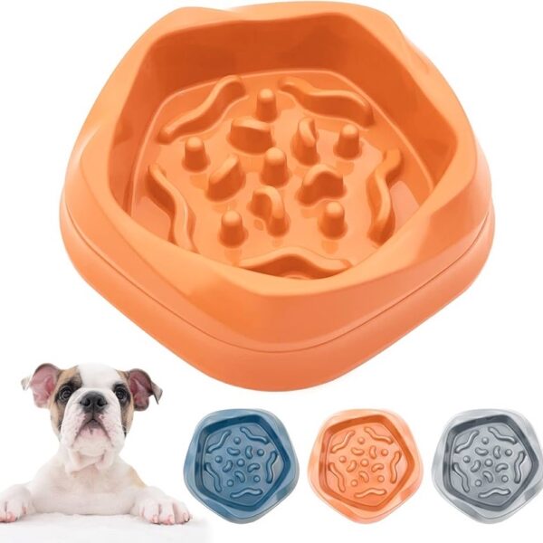 Slow feeder bowl