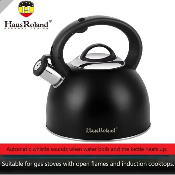 Stainless steel whistling Kettle -3 L