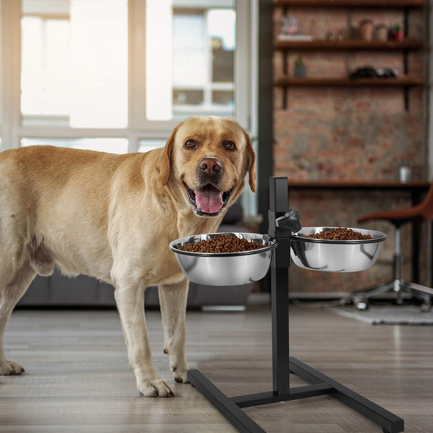 Elevated Double Stainless Steel Pet Bowls with Iron Stand Rack Adjustable -Medium - Image 3