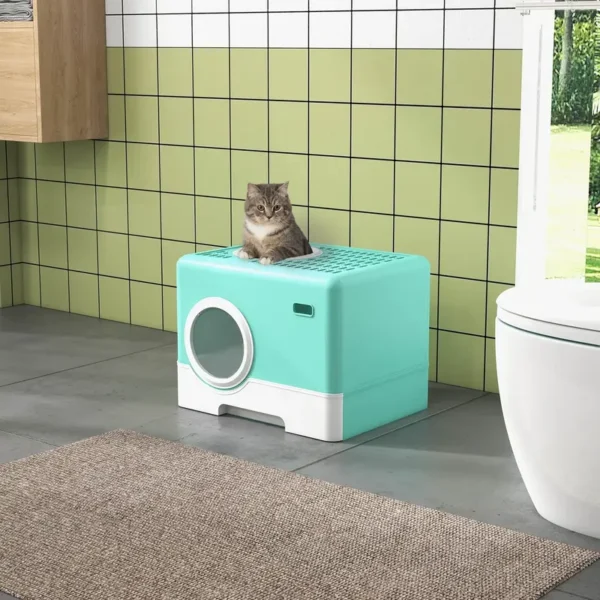 Cat Litter Box with Lid and Scoop, Double Entrance and Removable Tray, 52x41x38.5 cm
